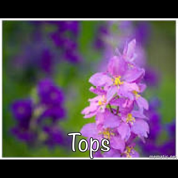 Tops - Picture 1 of 1